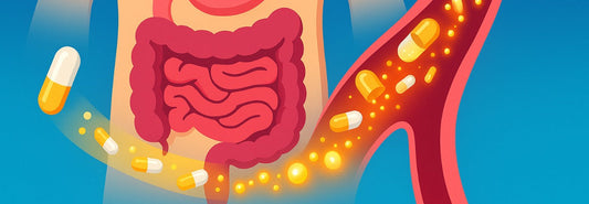 Why Delayed-Release NMN Capsules Can Boost Bioavailability